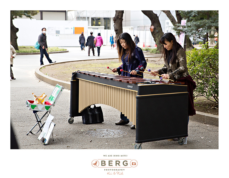 Japan Travel Photography (61)