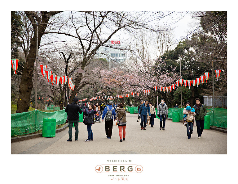 Japan Travel Photography (63)