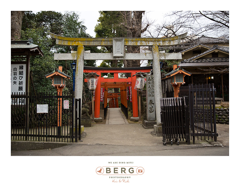 Japan Travel Photography (64)