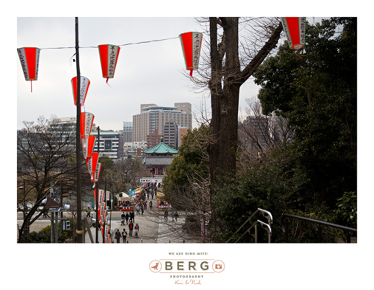 Japan Travel Photography (65)