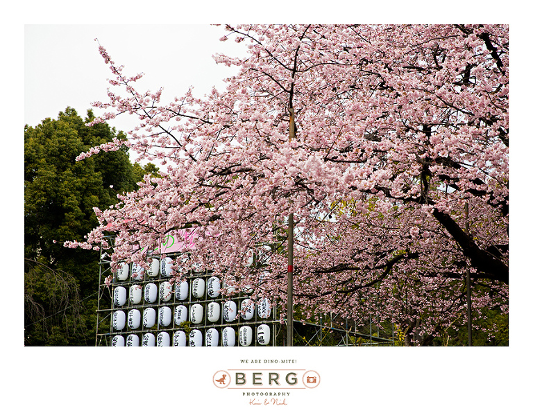 Japan Travel Photography (67)