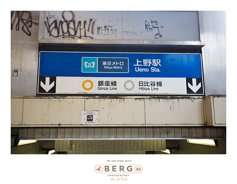 Japan Travel Photography (68)