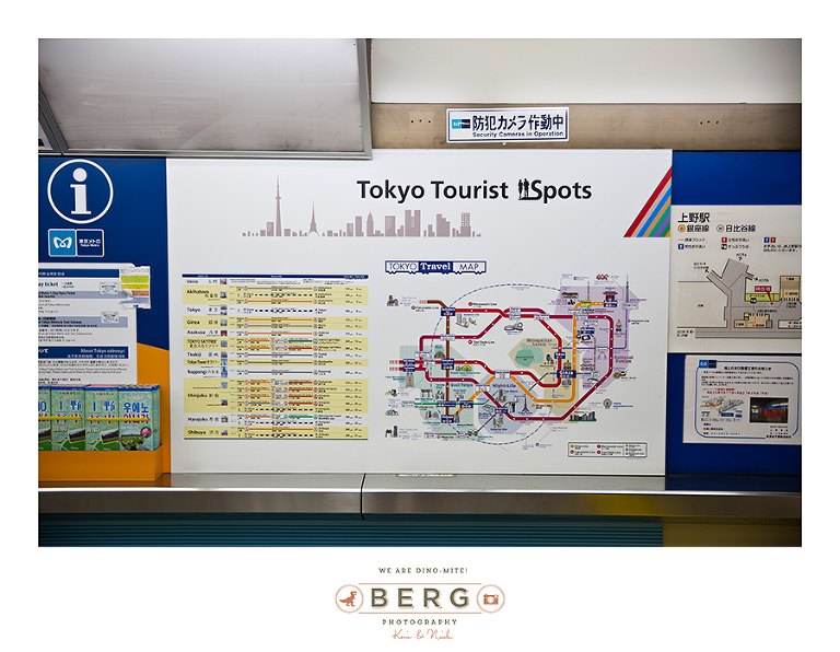 Japan Travel Photography (69)