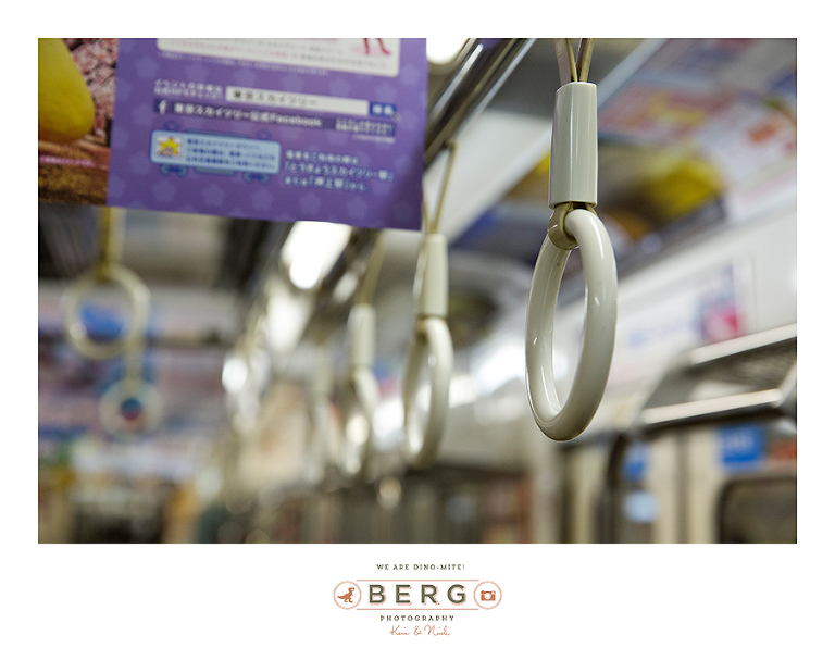 Japan Travel Photography (70)