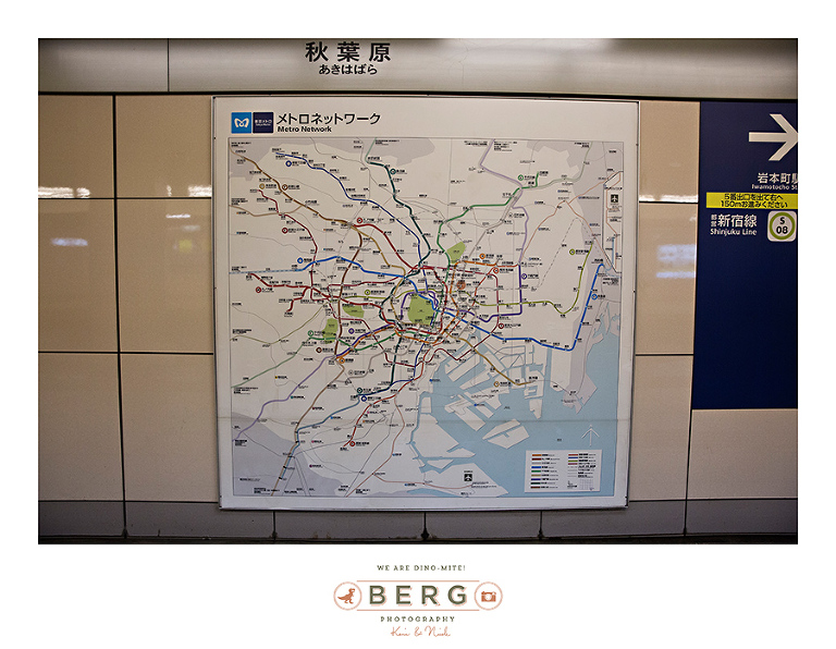 Japan Travel Photography (71)