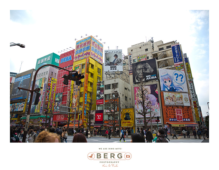 Japan Travel Photography (72)