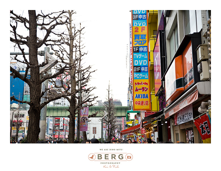 Japan Travel Photography (75)