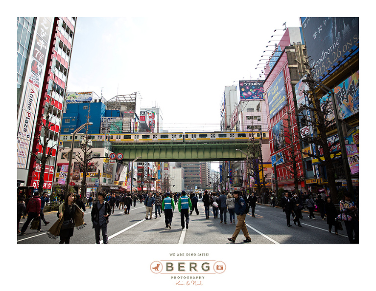 Japan Travel Photography (76)