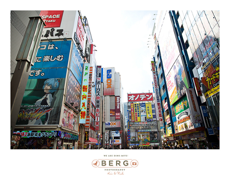 Japan Travel Photography (77)