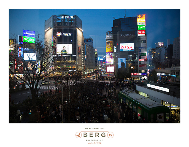 Japan Travel Photography (78)