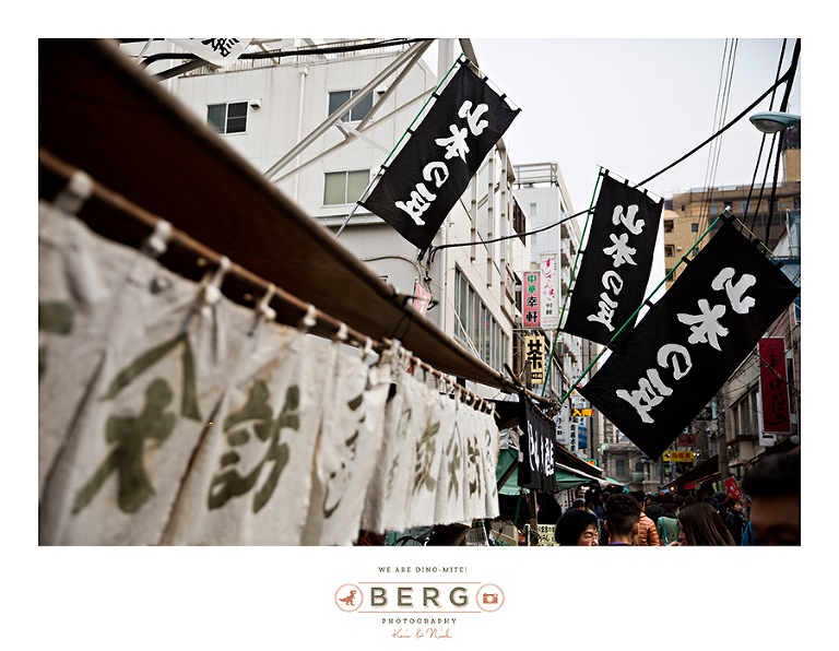 Japan Travel Photography (8)