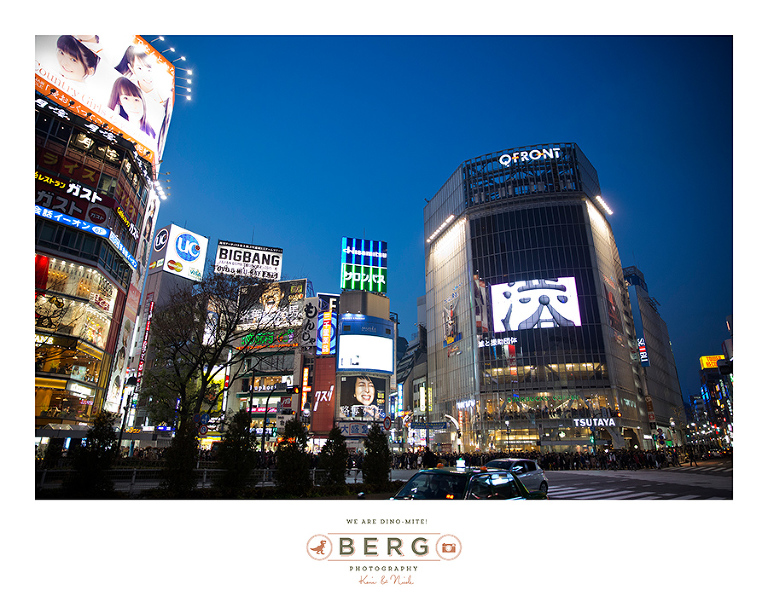 Japan Travel Photography (80)