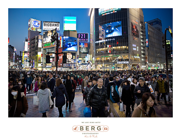 Japan Travel Photography (81)