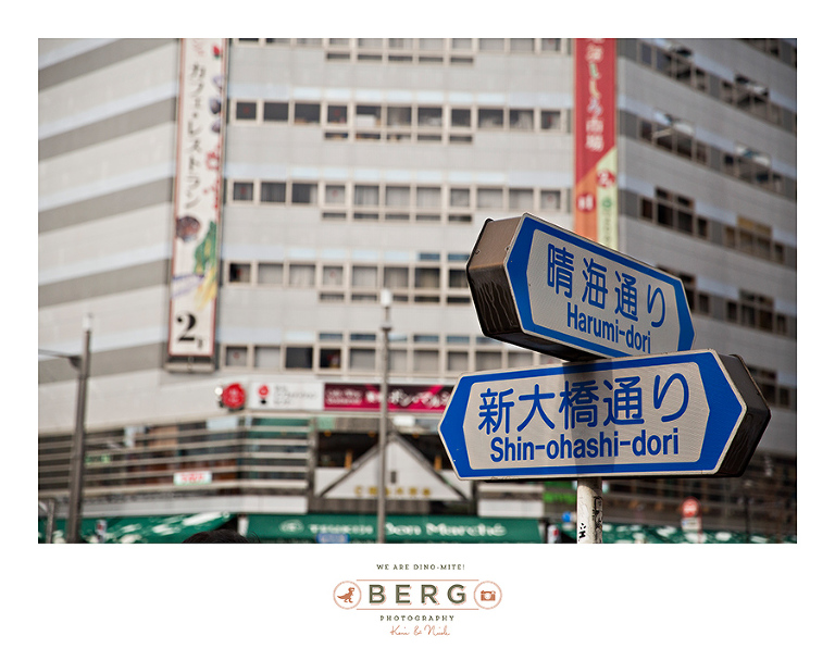 Japan Travel Photography (9)