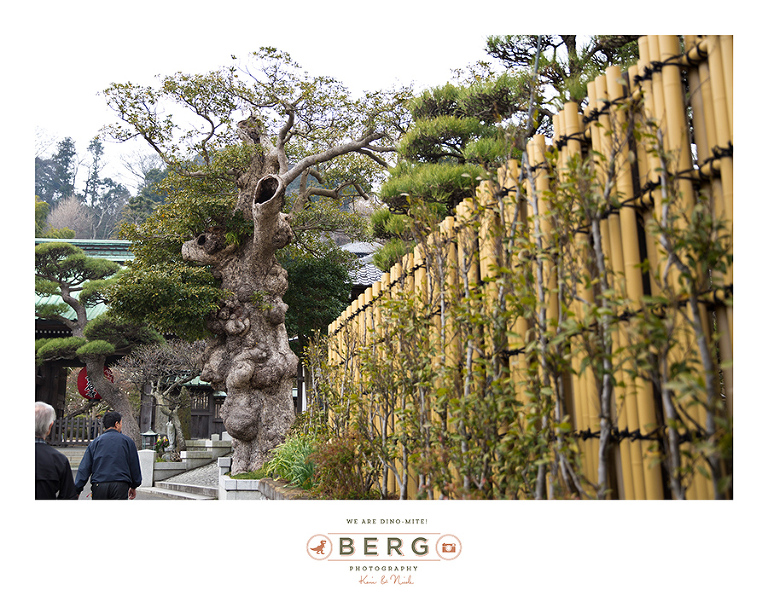 Japan Travel Photography (91)