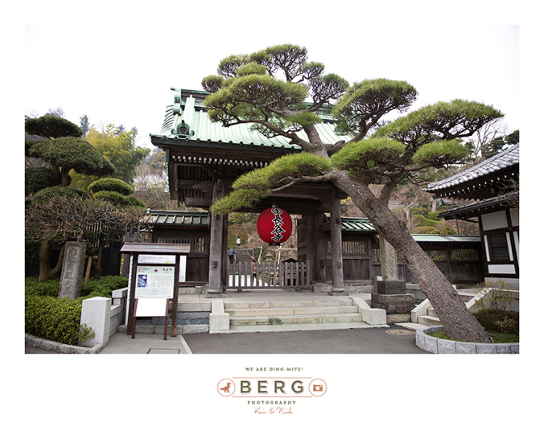 Japan Travel Photography (93)