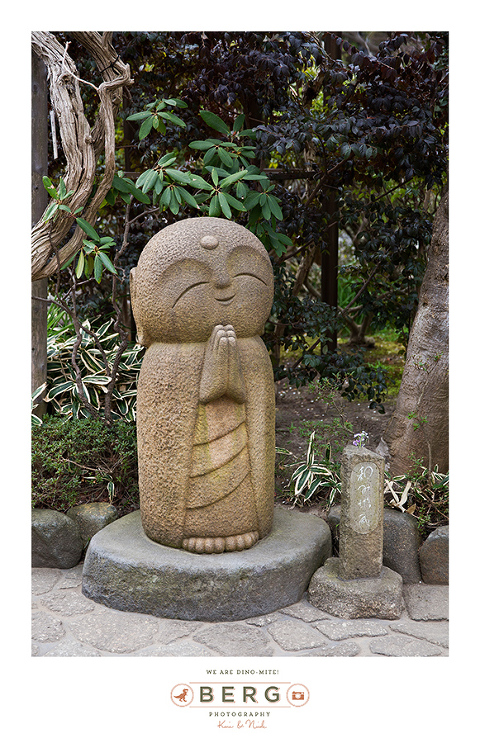 Japan Travel Photography (94)