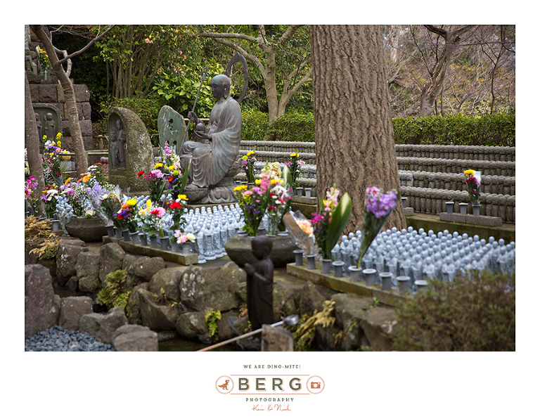 Japan Travel Photography (99)