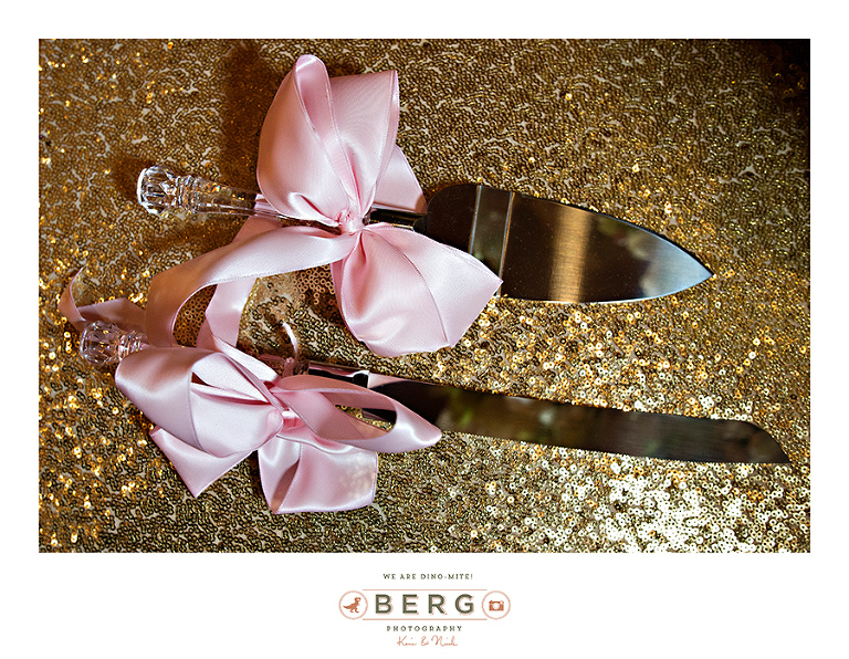 St. Mark's Cathedral Petroleum Club Shreveport Louisiana Wedding Photographers (25)