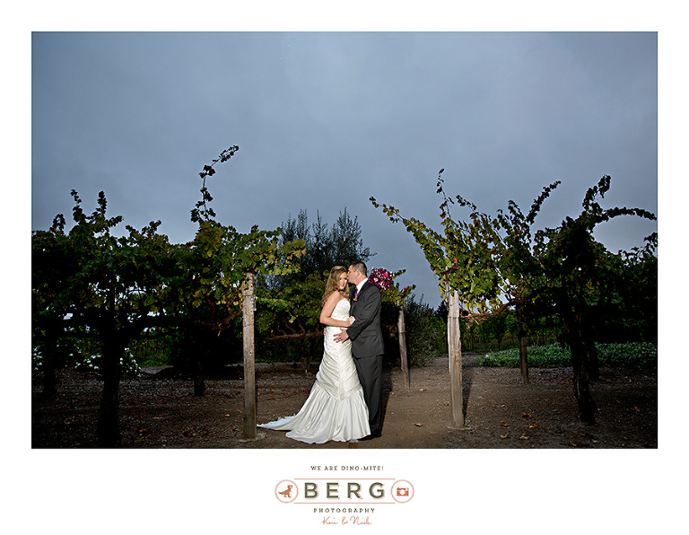 Vintner's Inn Santa Rosa California wedding photographers (34)