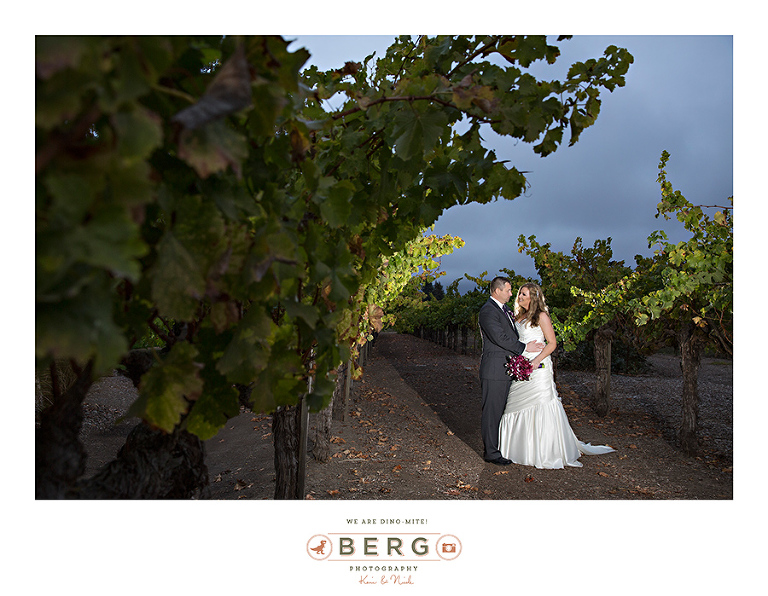 Vintner's Inn Santa Rosa California wedding photographers (35)