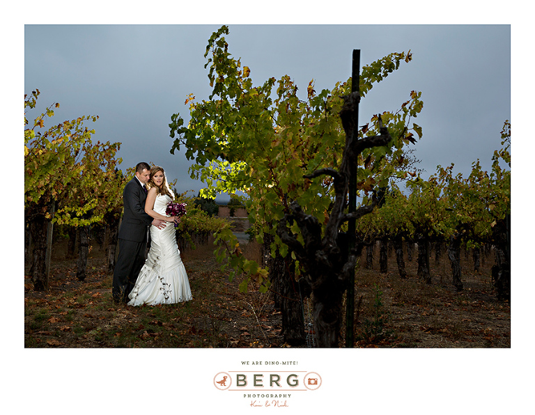 Vintner's Inn Santa Rosa California wedding photographers (37)