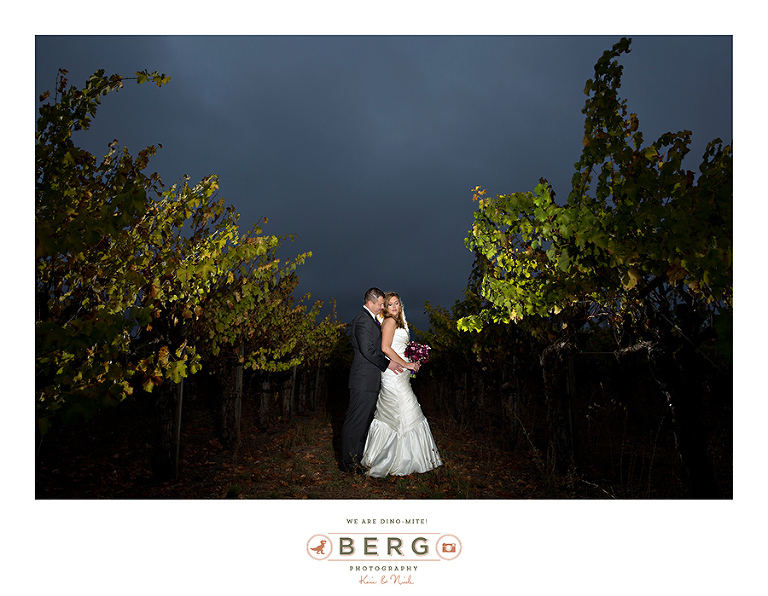 Vintner's Inn Santa Rosa California wedding photographers (39)