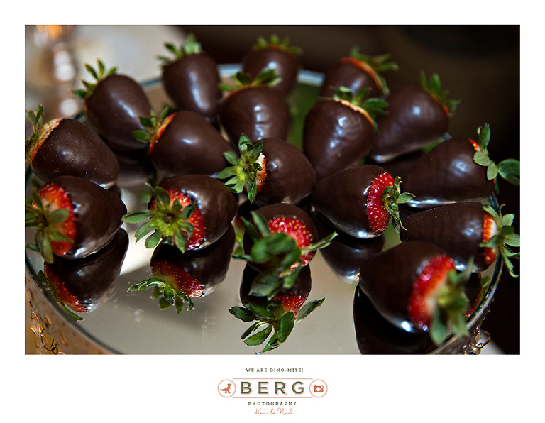 Vintner's Inn Santa Rosa California wedding photographers (49)