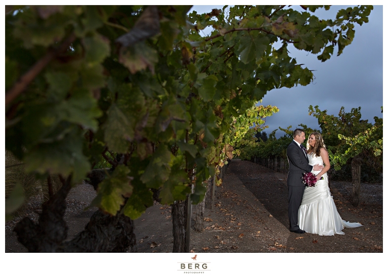 Vintner's Inn Wedding Santa Rosa California Winery Wedding Photography 2