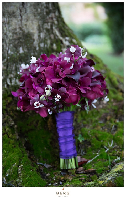 Vintner's Inn Wedding Santa Rosa California Winery Wedding Photography 3