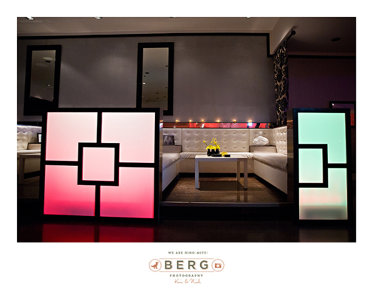 Dallas Texas wedding photographers (72)