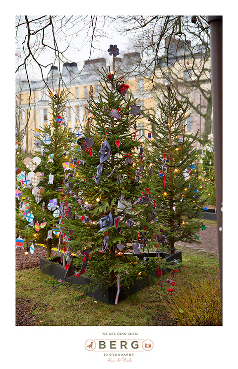 17 Berg Photography -Travel Finland - Destination Photographer (28)