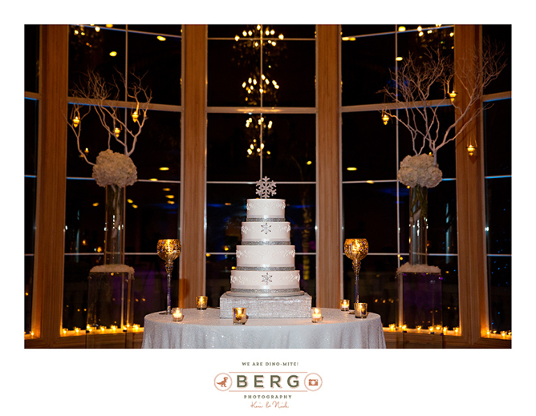 Chateau Polonez - Houston Texas Wedding Photographer (21)