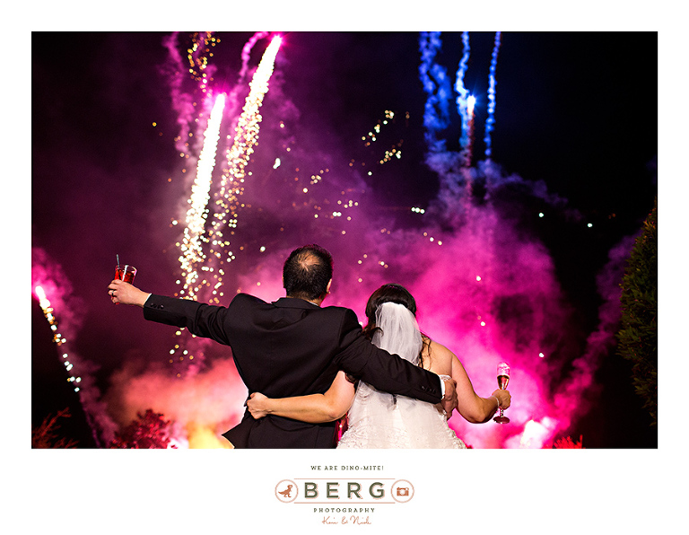 Chateau Polonez - Houston Texas Wedding Photographer (32)