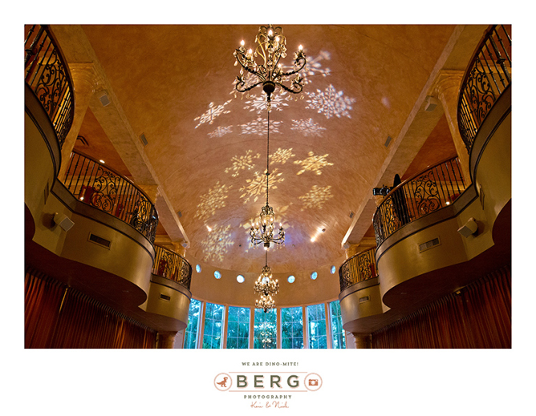 Chateau Polonez - Houston Texas Wedding Photographer (9)