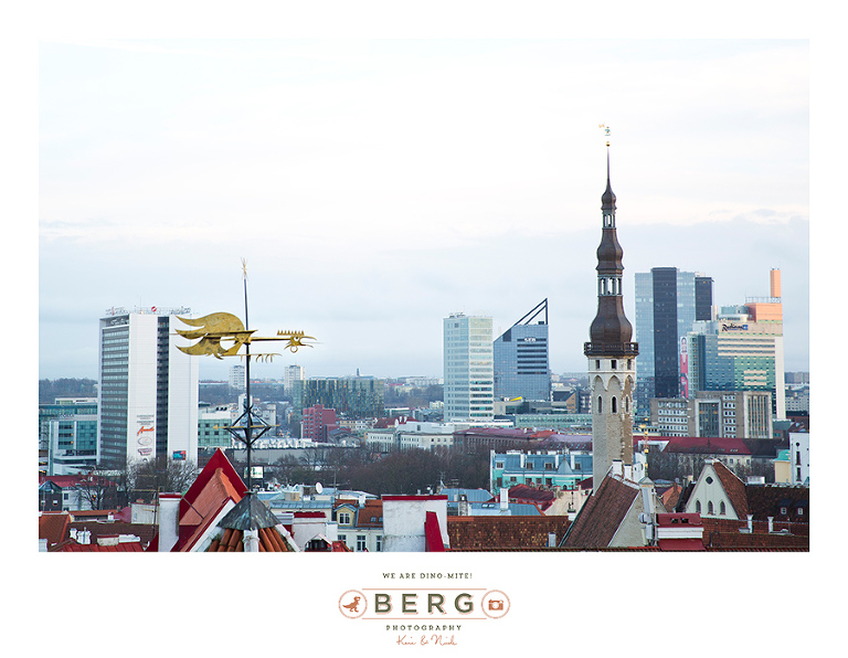 z Berg Photography -Travel Finland - Destination Photographer (2)