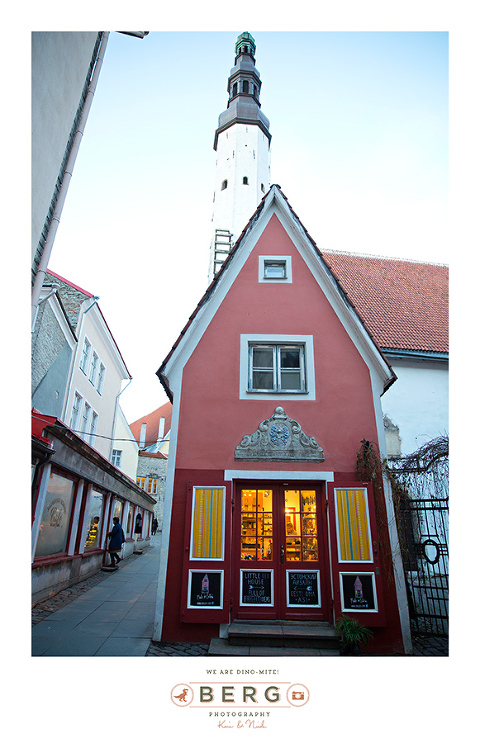 z Berg Photography -Travel Finland - Destination Photographer (6)