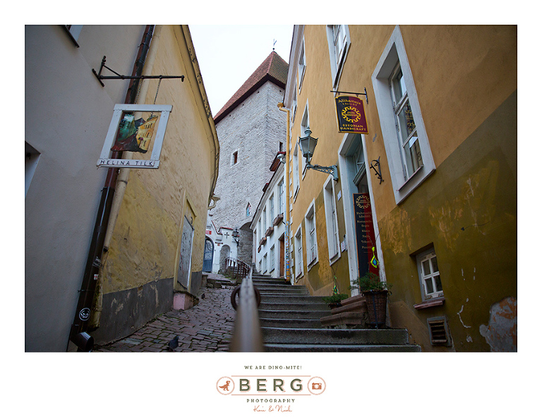 z Berg Photography -Travel Finland - Destination Photographer (7)