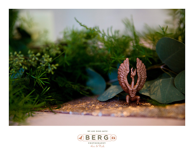 bossier-city-louisiana-wedding-photographers-34