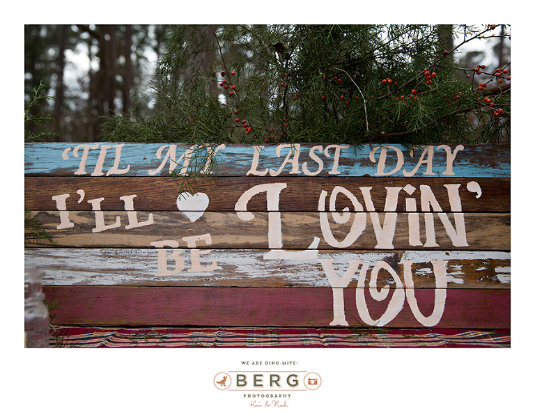 Shreveport Louisiana backyard wedding photographers (34)