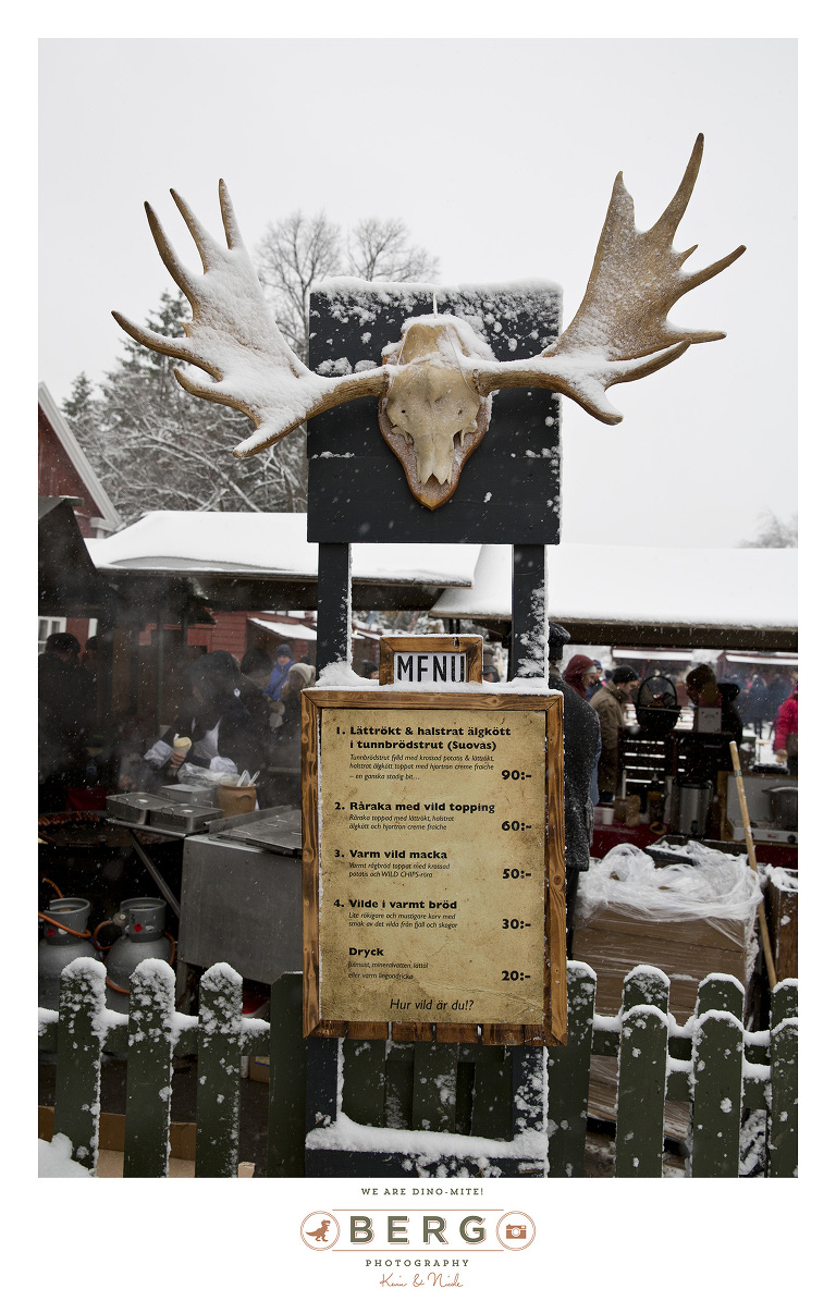 Sweden - London - Travel Photography (10)