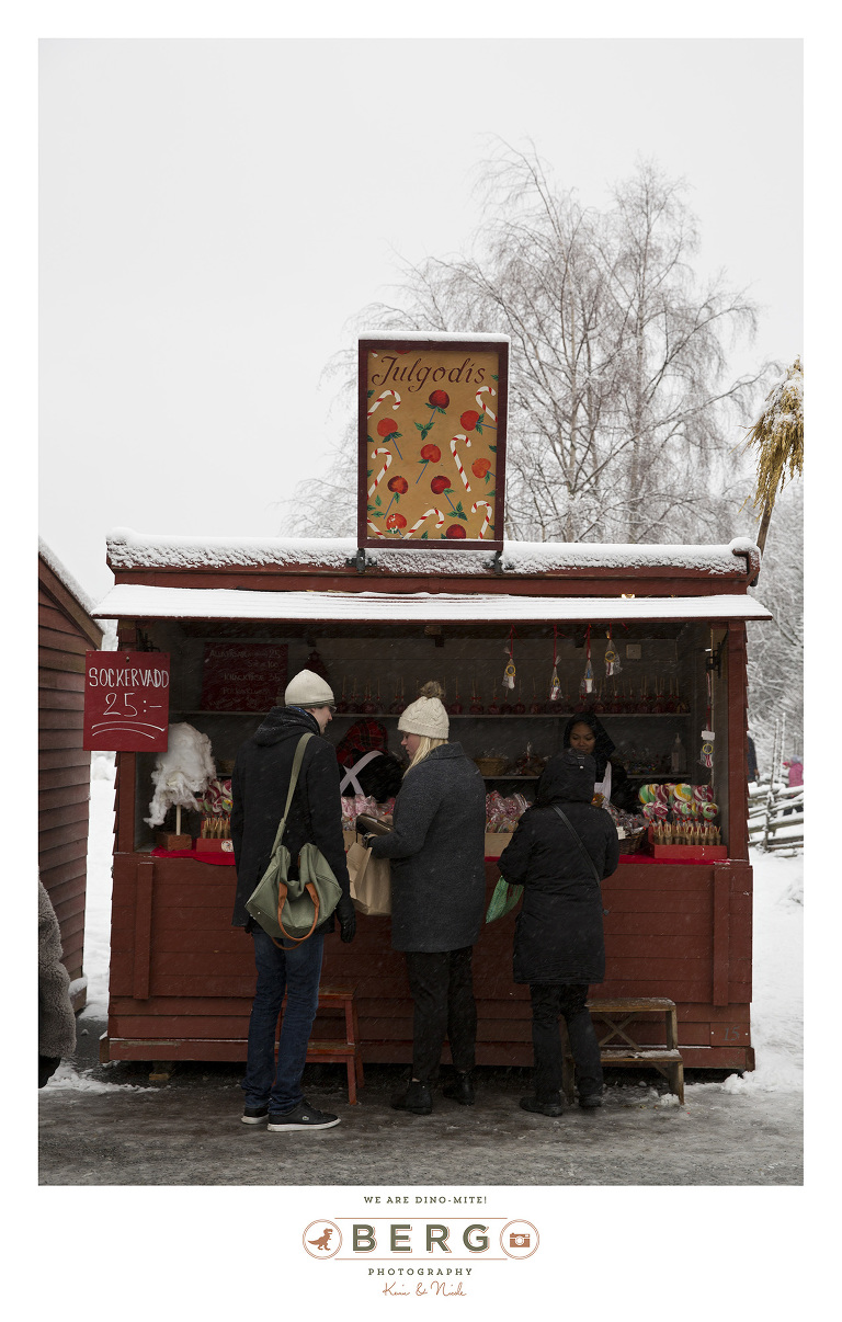 Sweden - London - Travel Photography (13)