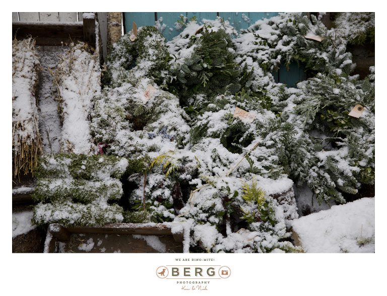 Sweden - London - Travel Photography (18)