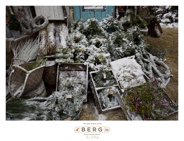 Sweden - London - Travel Photography (19)