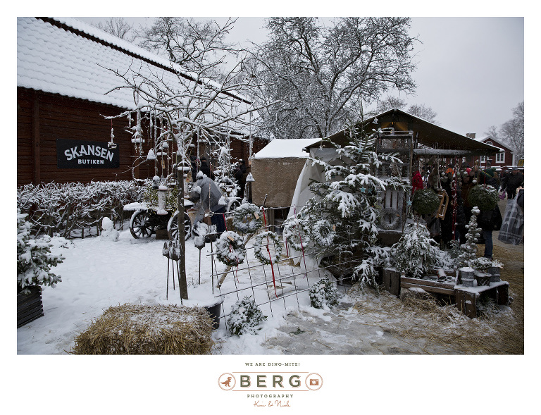 Sweden - London - Travel Photography (20)