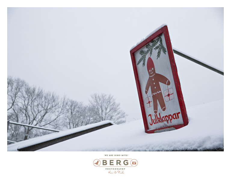 Sweden - London - Travel Photography (21)