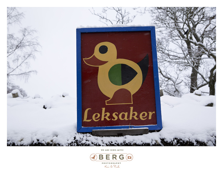 Sweden - London - Travel Photography (27)