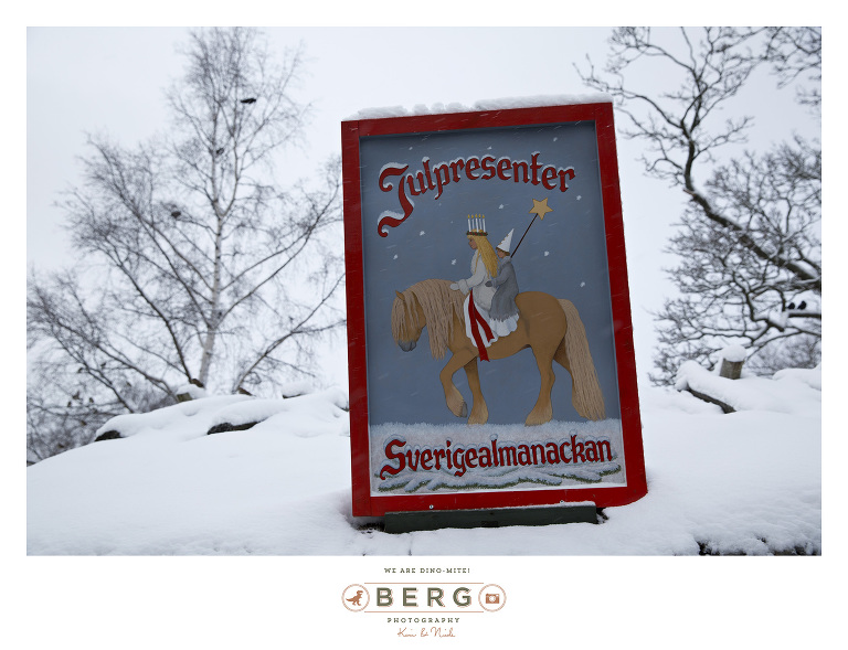 Sweden - London - Travel Photography (28)