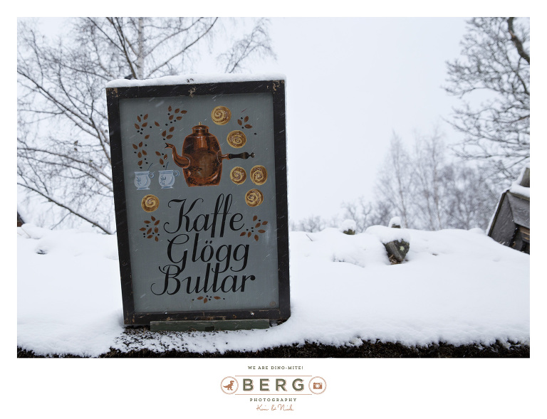 Sweden - London - Travel Photography (29)