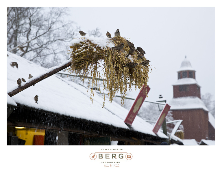 Sweden - London - Travel Photography (30)